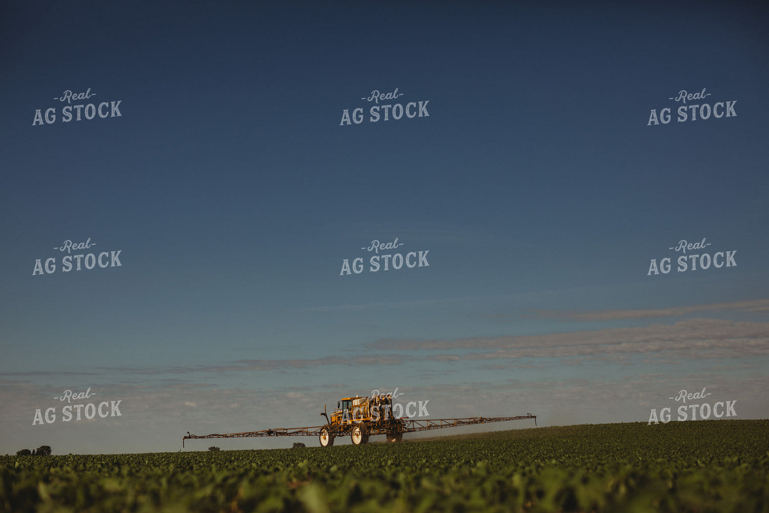 Spraying Soybeans 4339