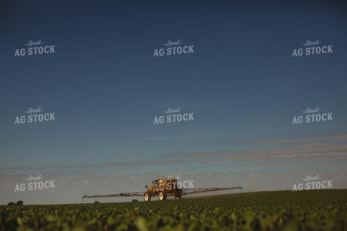 Spraying Soybeans 4339