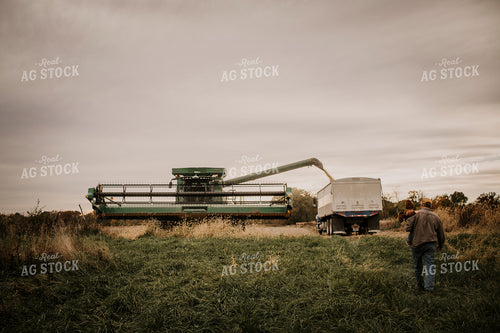 Harvest 2627