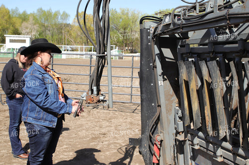 Female Rancher Working Cattle 102149