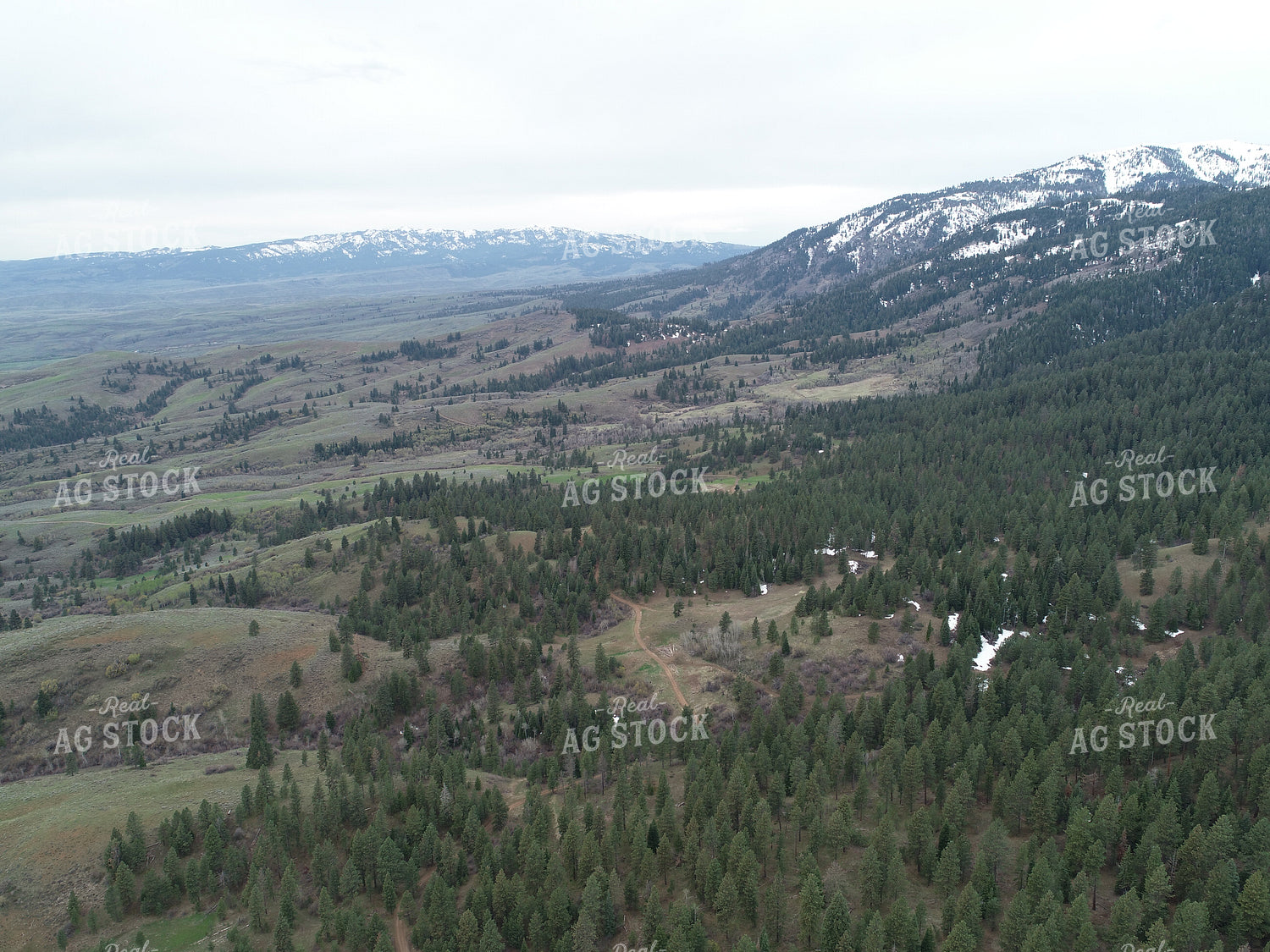 Mountain Landscape 122068