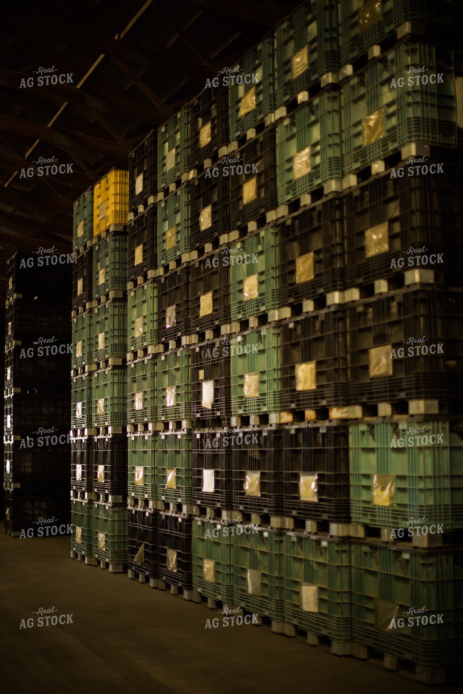 Seed Storage Shed 7968