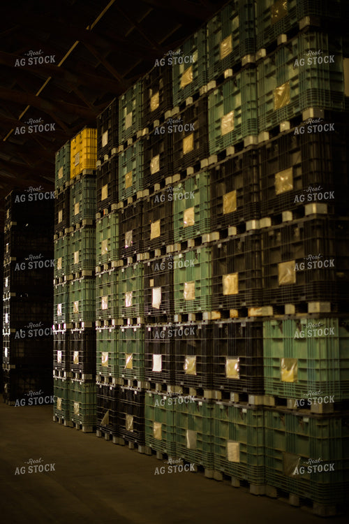 Seed Storage Shed 7968