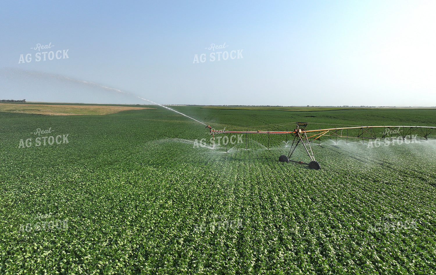 Pivot Irrigation System in Soybean Field 141159