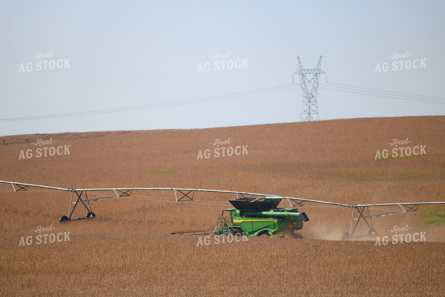 Soybean Harvest 82350