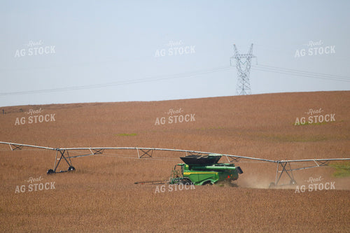 Soybean Harvest 82350
