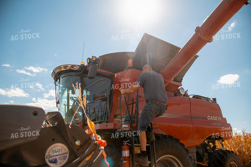Farm on Combine in Corn Harvest 25937