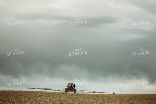 Self Propelled Sprayer Spraying in Corn Field 3656