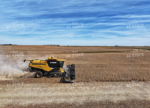 Wheat Harvest 141177