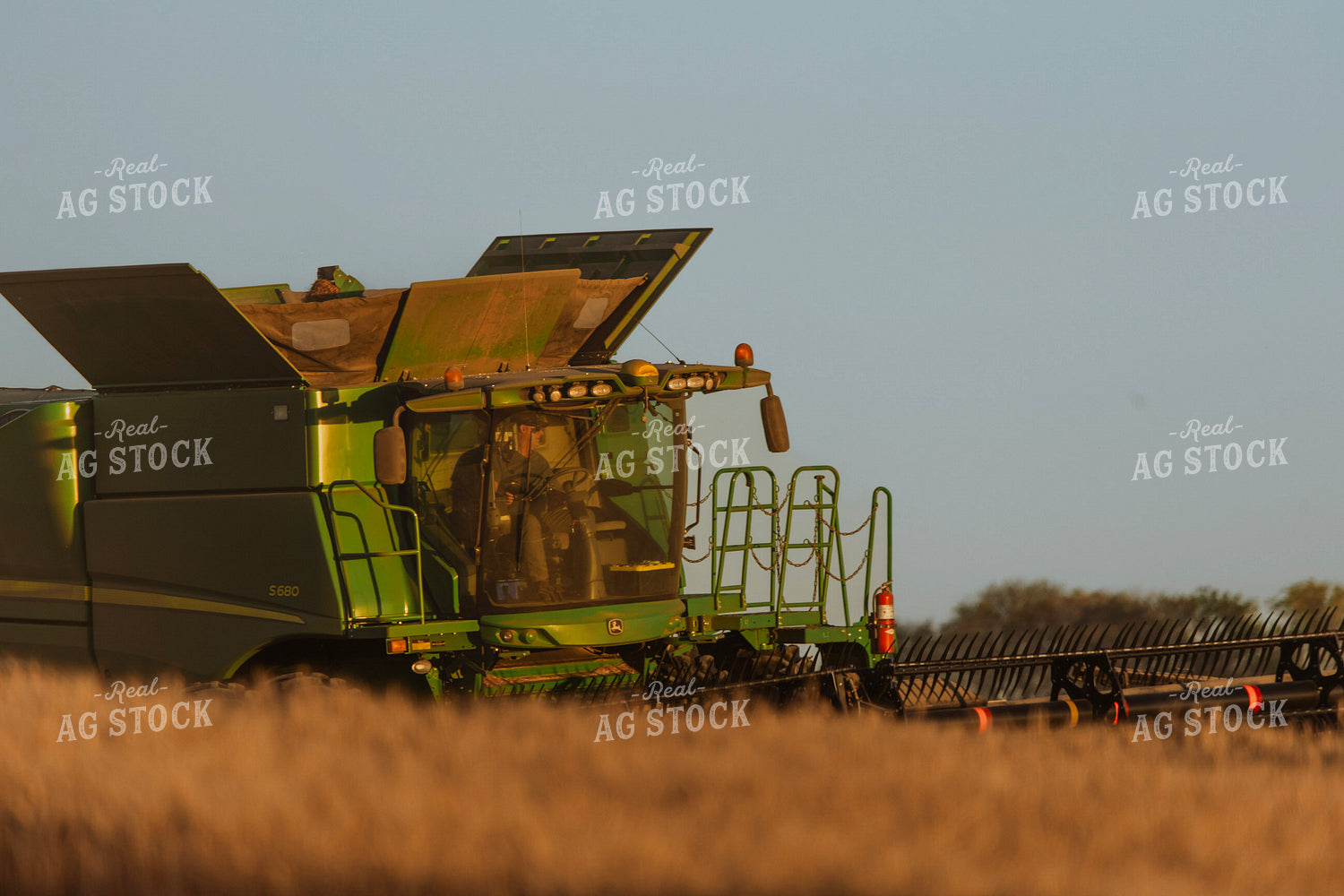 Wheat Harvest 187313