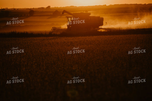 Harvest 2596