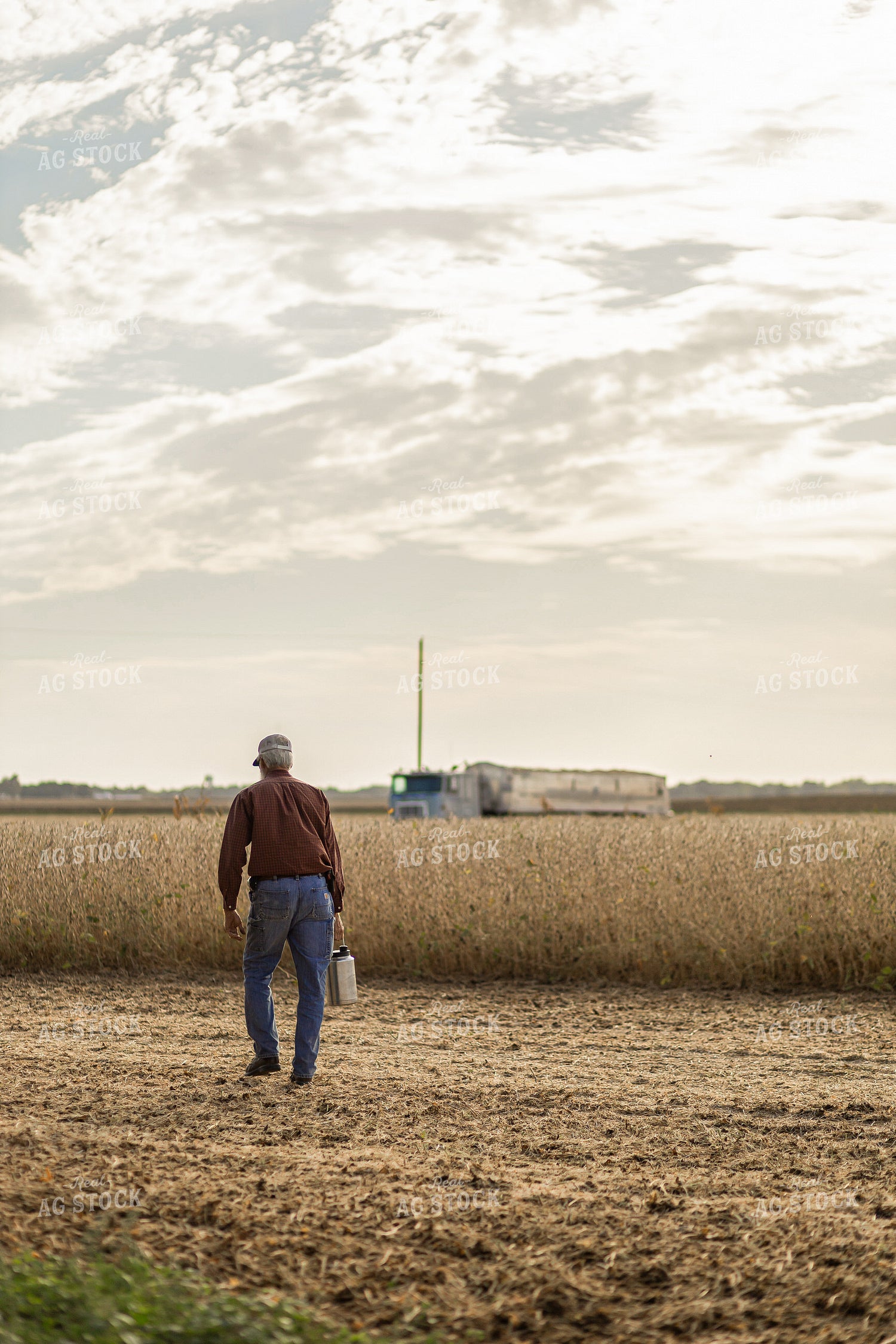 Farmer During Soybean Harvest 93329