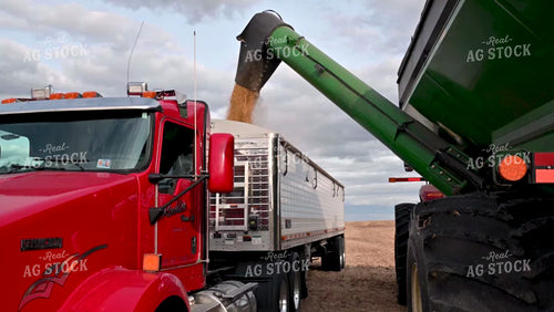 Grain Cart Unloading into Semi - 489