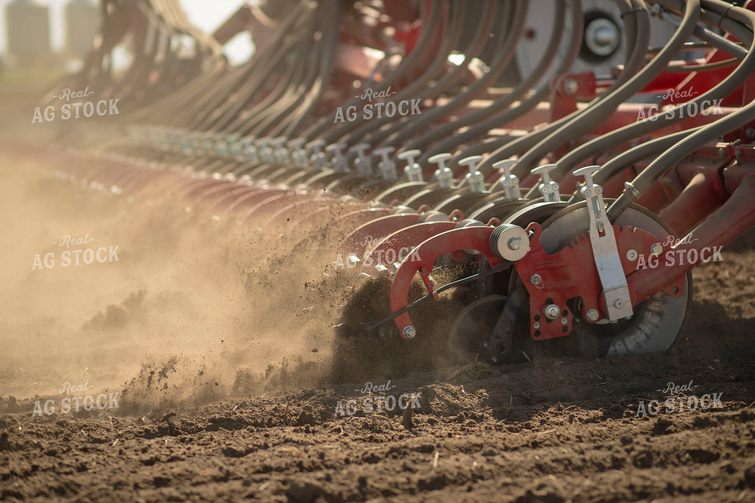 Disc Seeder 135065