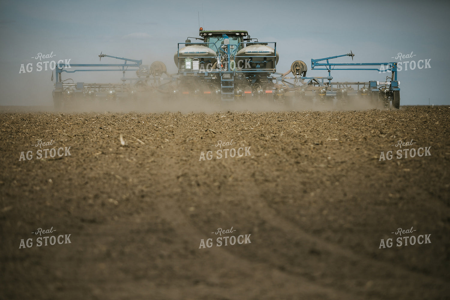 Planting on a Sunny Day 4148
