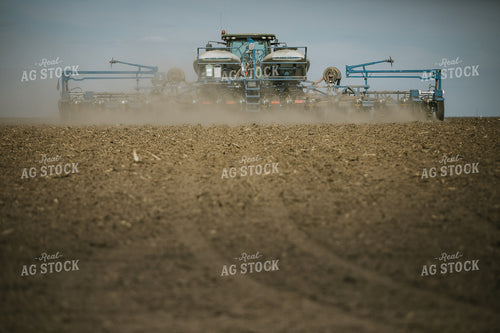 Planting on a Sunny Day 4148