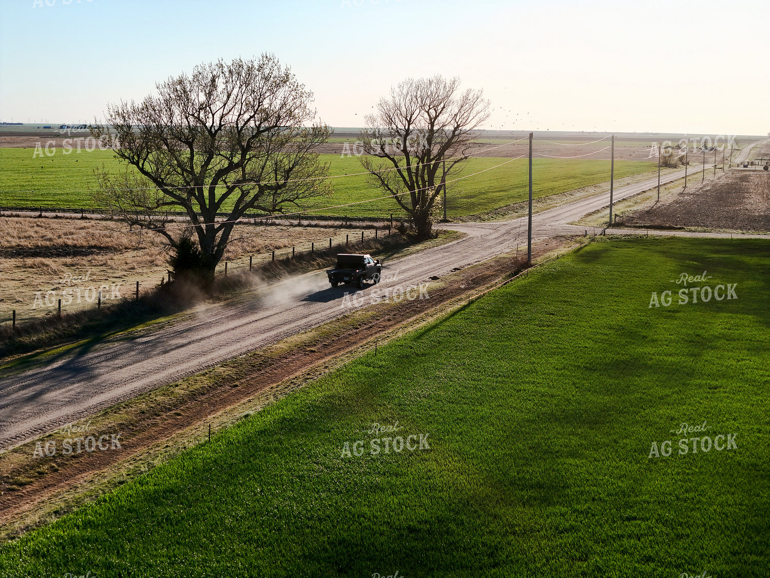 Pickup on Rural Road 239553
