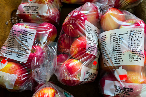Apples 154115