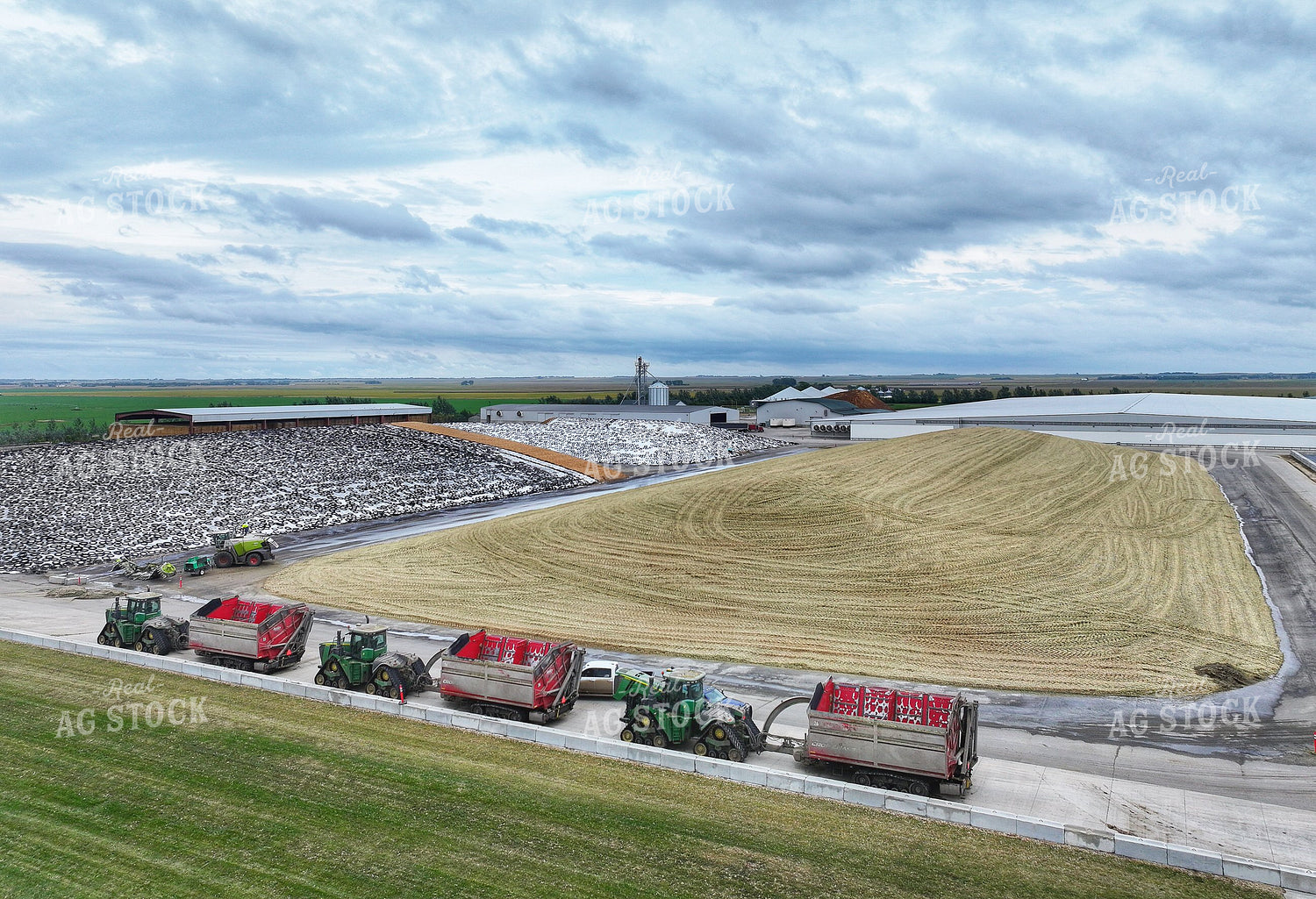 Uncovered Silage Pile 141504