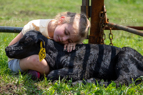Farm Kid with Calf 214216