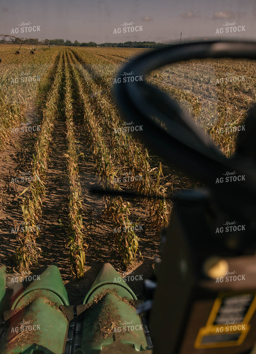 Corn Harvest Inside Combine Cab 104014