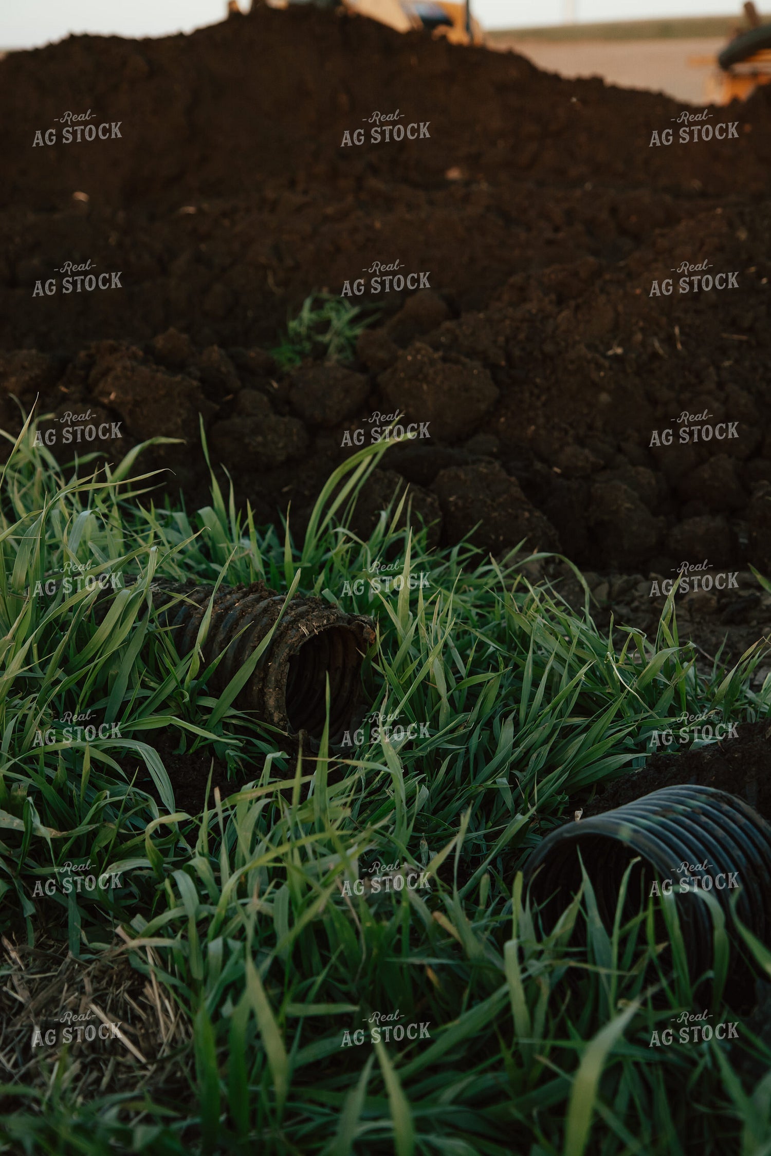 Field Tile 67569