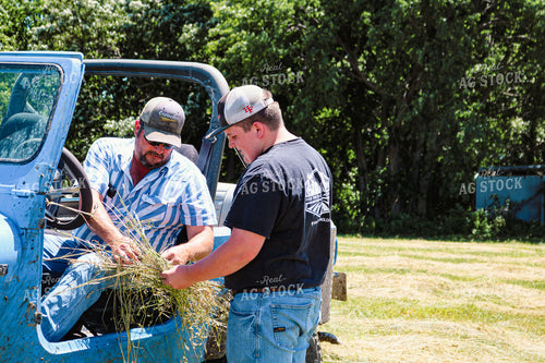 Farmer and Son Checking Cut Hay 214030