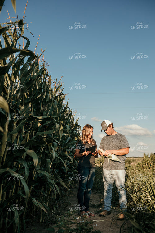 Farmer and Agronomist Corn Yield Estimate 3164