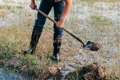 Farmer with Ditch Irrigation 61035