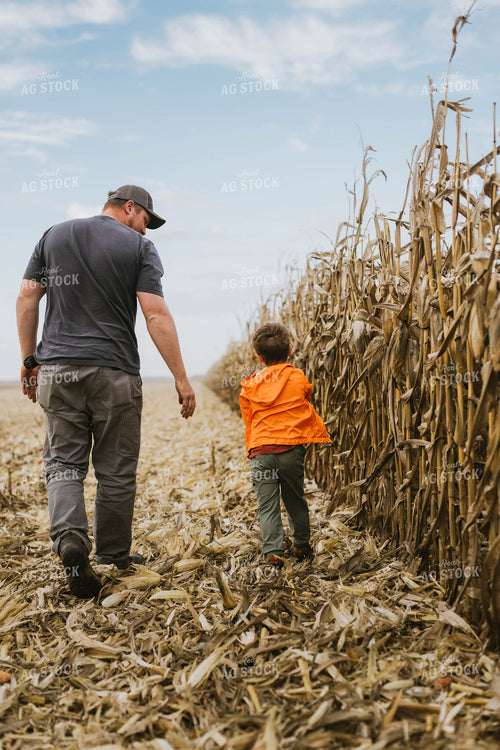 Farmer and Son Checking Corn 8533
