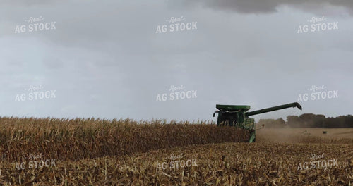 Combine Picking Corn - Long Clip 3913