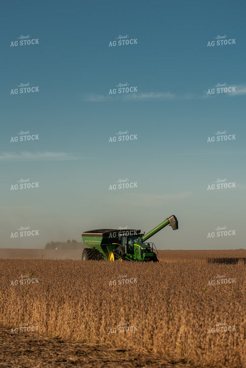 Soybean Harvest 274013