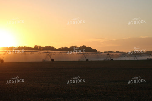Irrigation System 82004