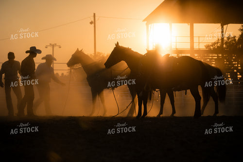 Rodeo 219133