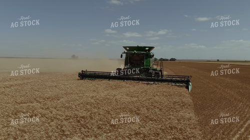 Wheat Harvest 239327
