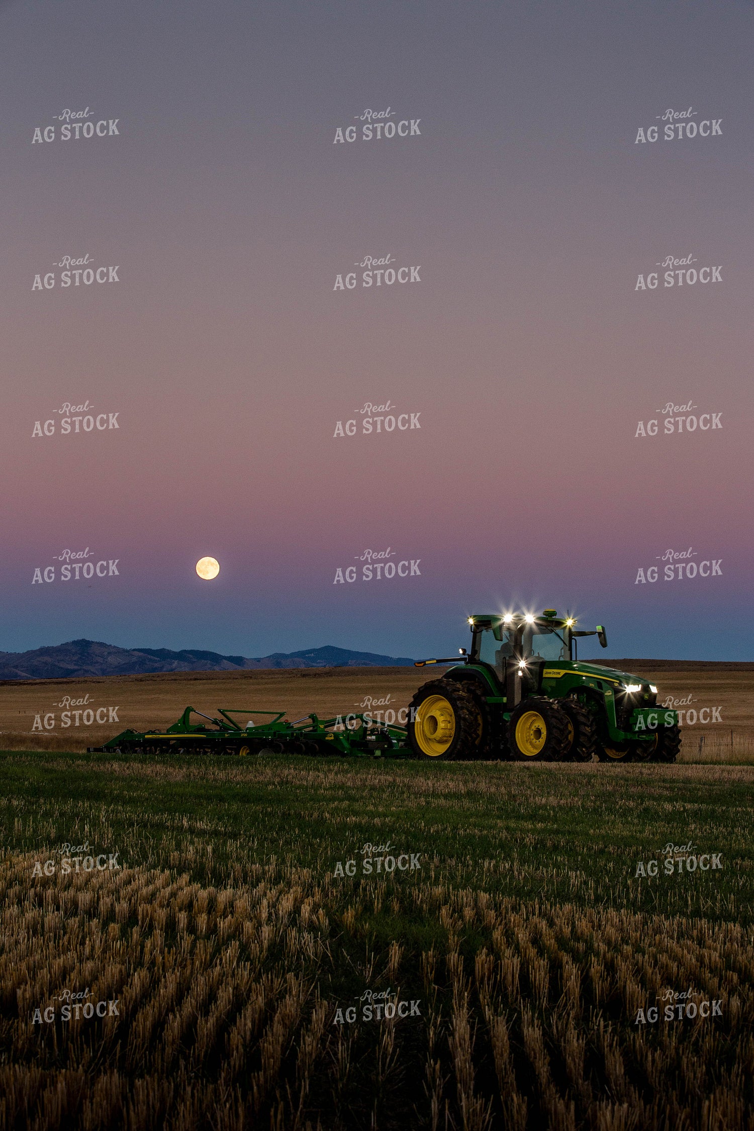 Vertical Tillage 81182
