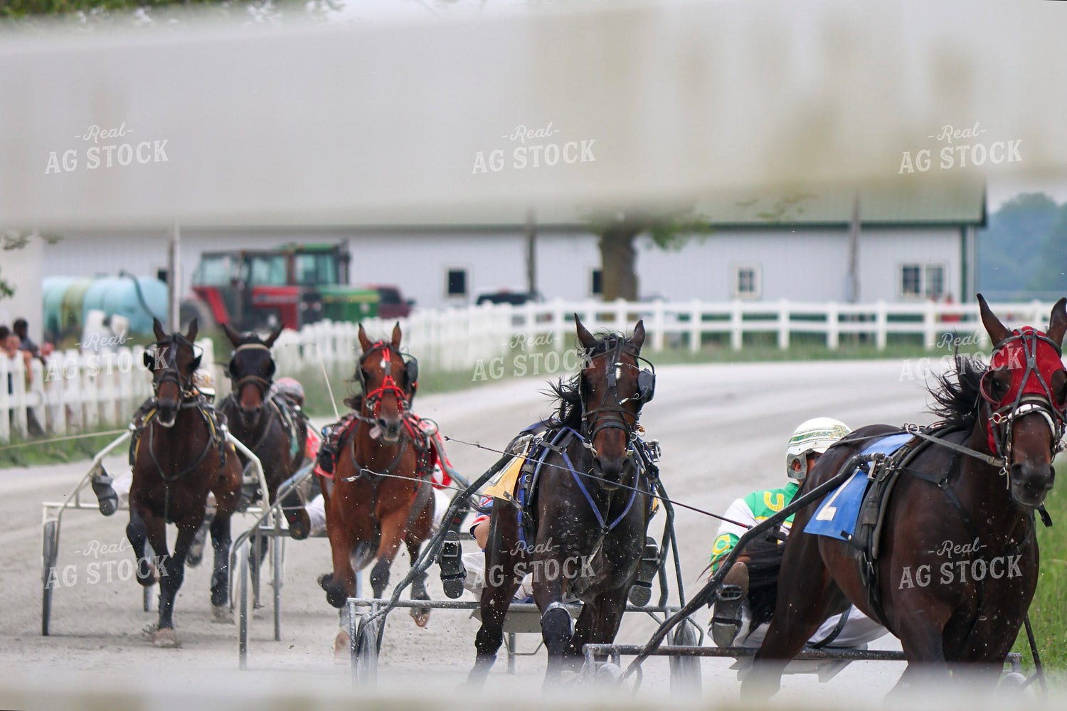 Harness Racing 109143