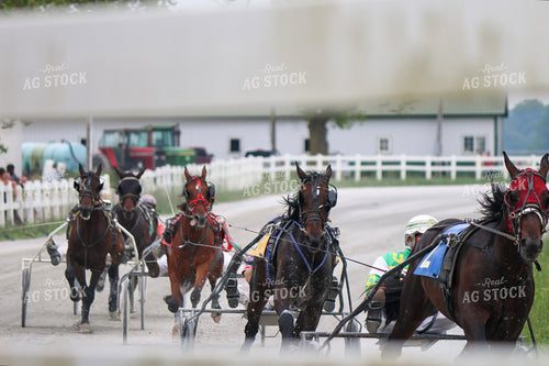 Harness Racing 109143