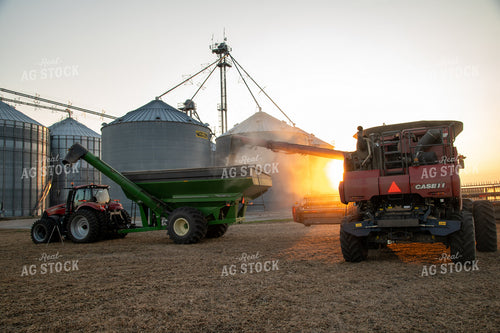 Combine Unloading Soybeans into Auger Wagon at Grain Bin Site 25764