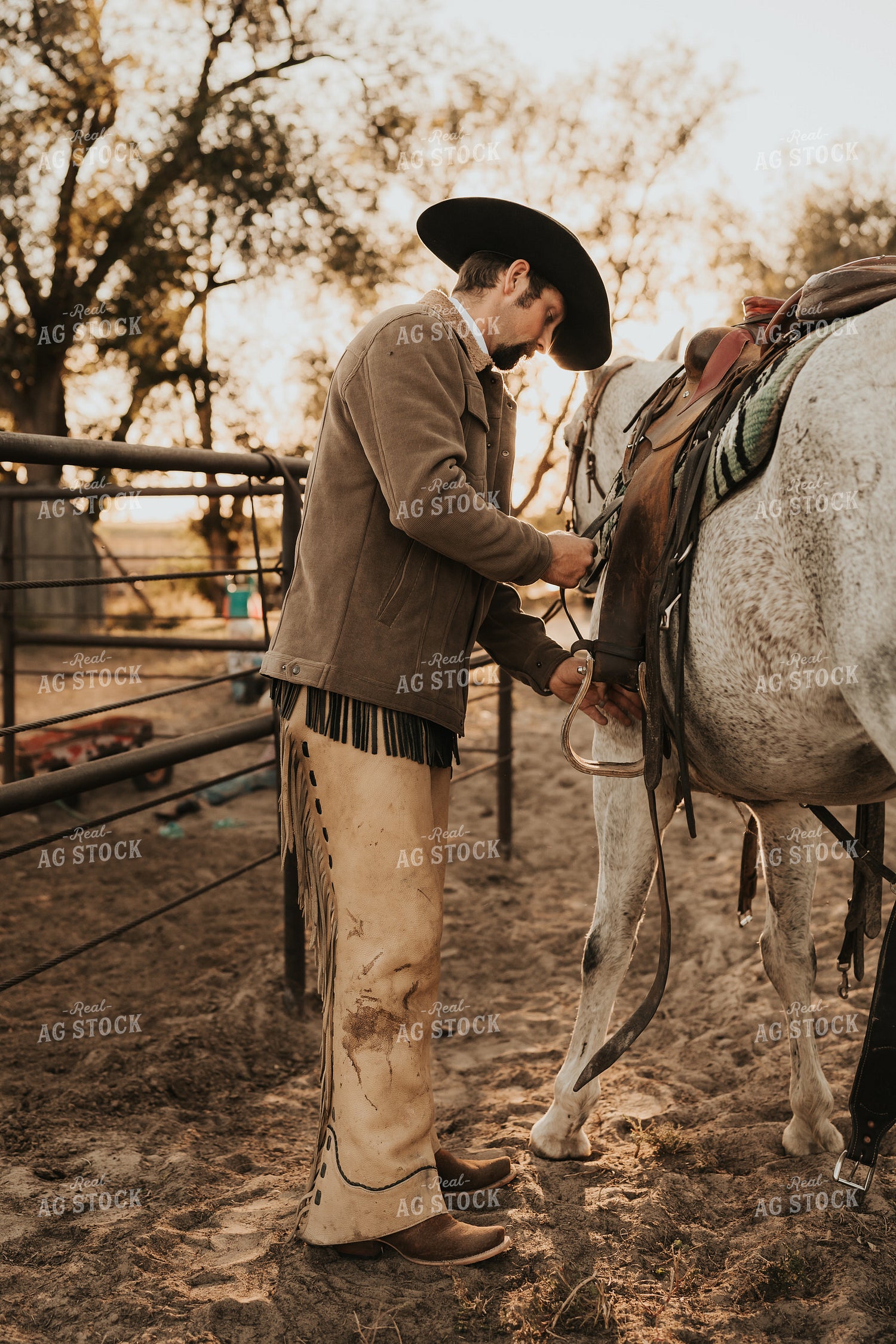 Cowboy Saddling Horse 61181