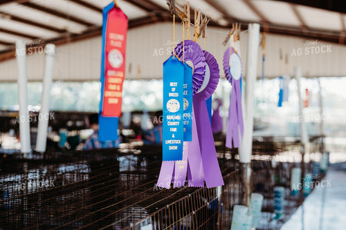 Ribbons Hanging in Show Barn 125008