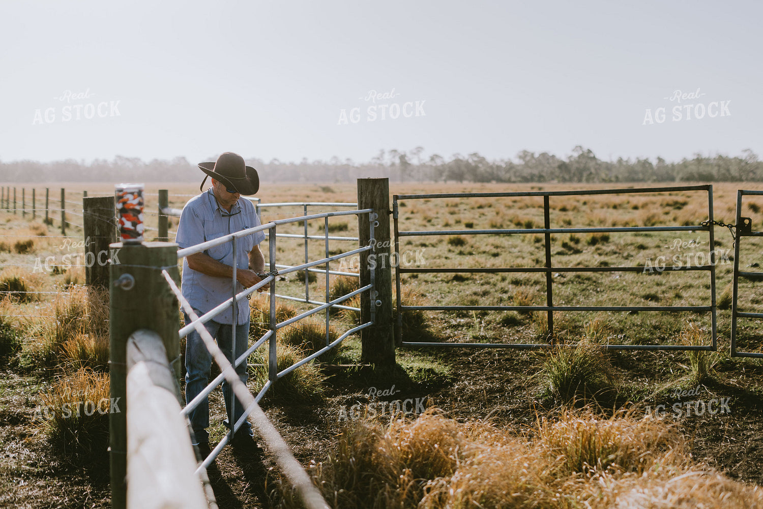Rancher Locking Pasture Gate 7305