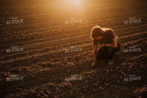 Planting 2843