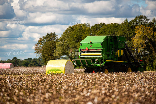 Cotton Harvest 136138