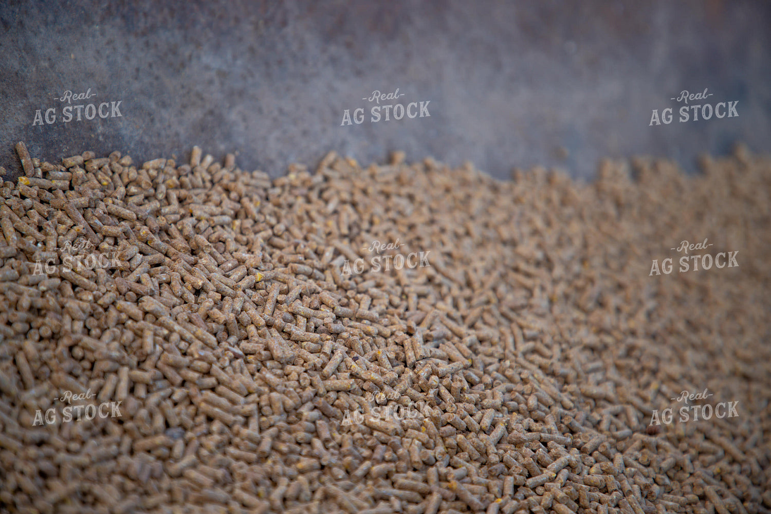 Feed Pellets in Feed Trough 208052
