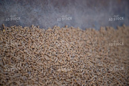 Feed Pellets in Feed Trough 208052