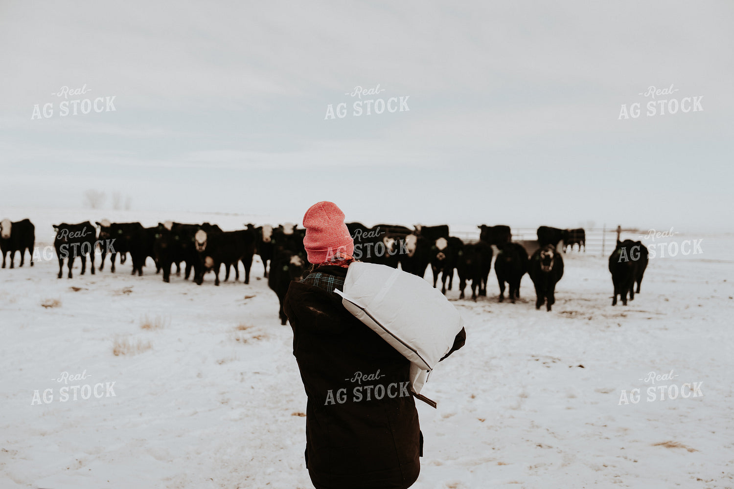 Female Rancher Feeding Supplements 61204