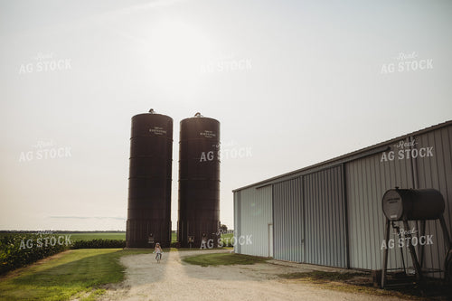 Farm Kid Riding Bike Along Corn Field 4457