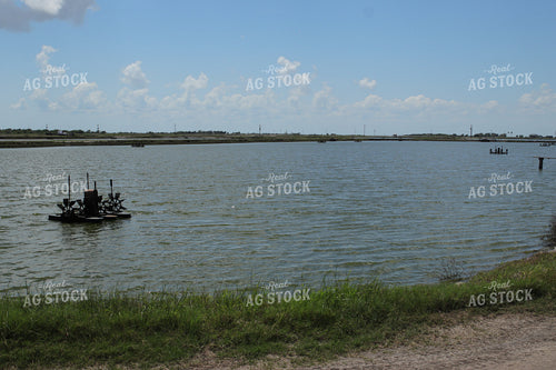 Shrimp Ponds 102174