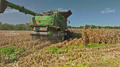 Corn Harvest 92077